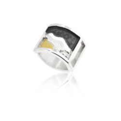 1683 - SILVER & GOLD RING. R1683