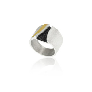ANELL PLATA I OR